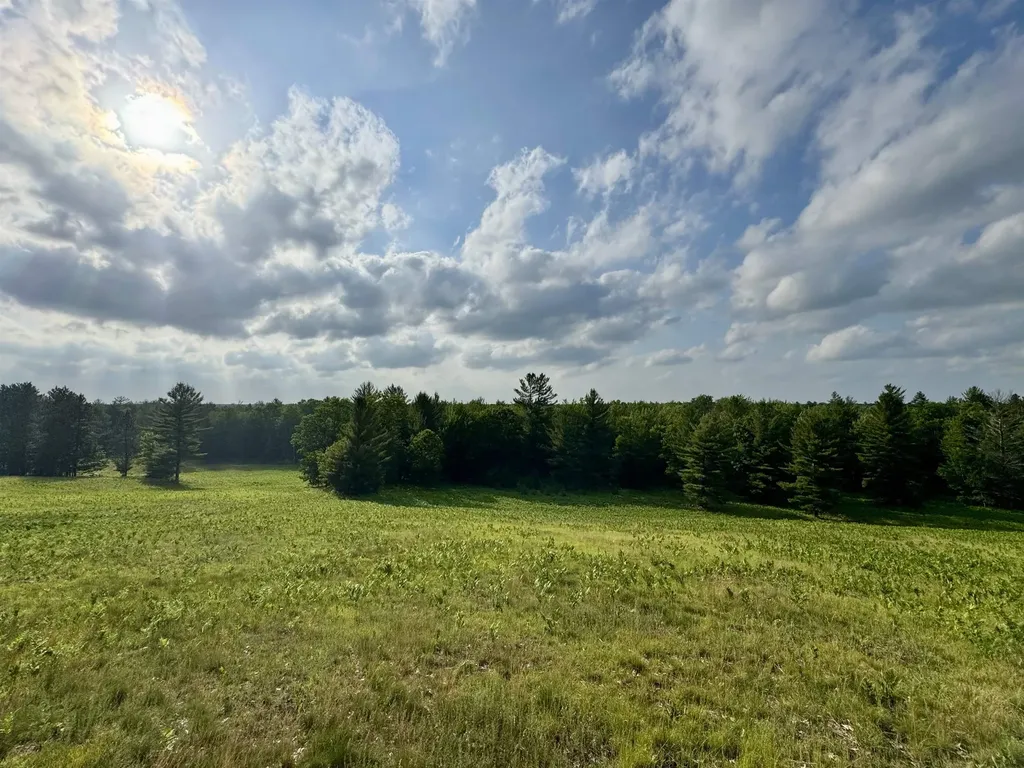 4264 SW Bald Eagles View Boardman Township MI 49680