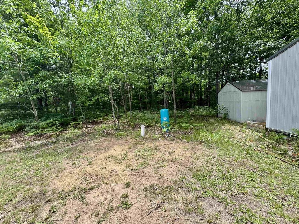 4264 SW Bald Eagles View Boardman Township MI 49680