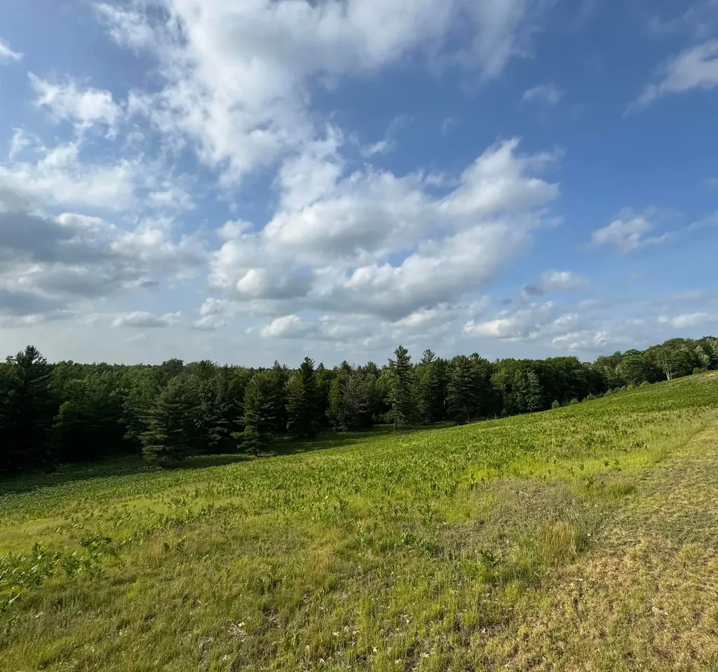 4264 SW Bald Eagles View Boardman Township MI 49680