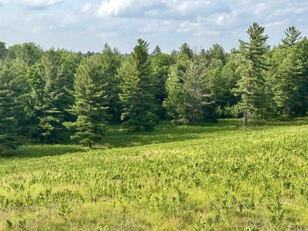 4264 SW Bald Eagles View Boardman Township MI 49680