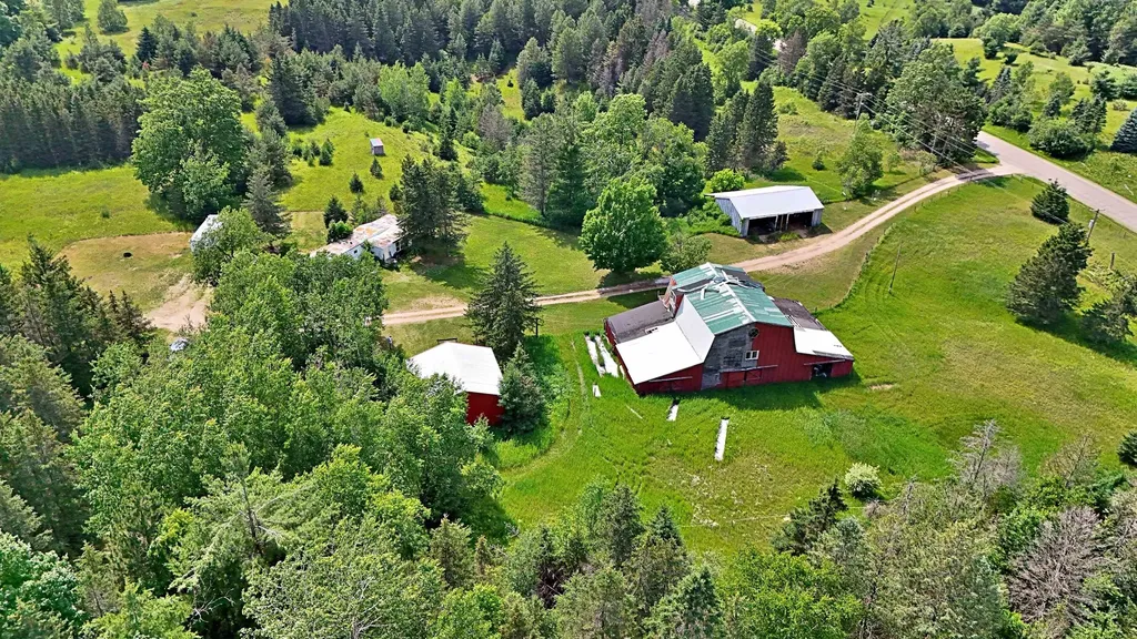 11601 W Rhoby Road Caldwell Township MI 49663