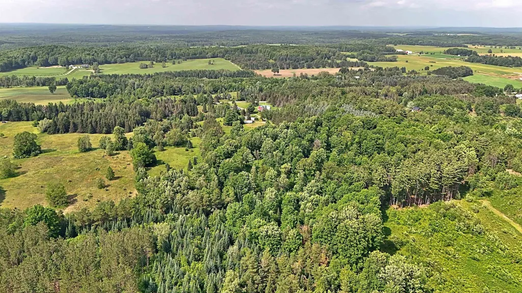 11601 W Rhoby Road Caldwell Township MI 49663