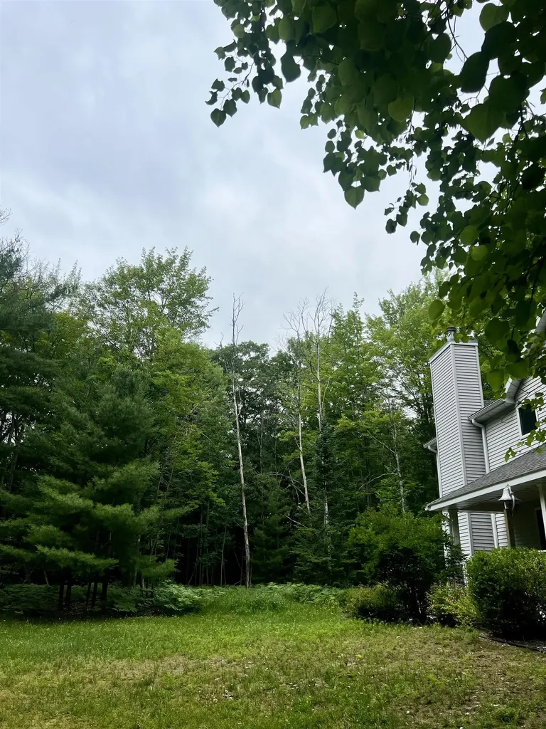 151 Dubonnet Trail Green Lake Township MI 49643
