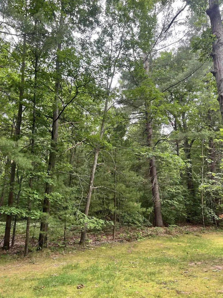 151 Dubonnet Trail Green Lake Township MI 49643