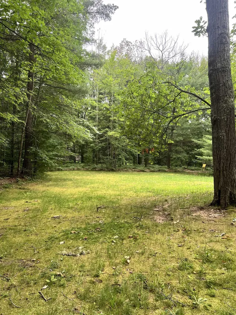 151 Dubonnet Trail Green Lake Township MI 49643