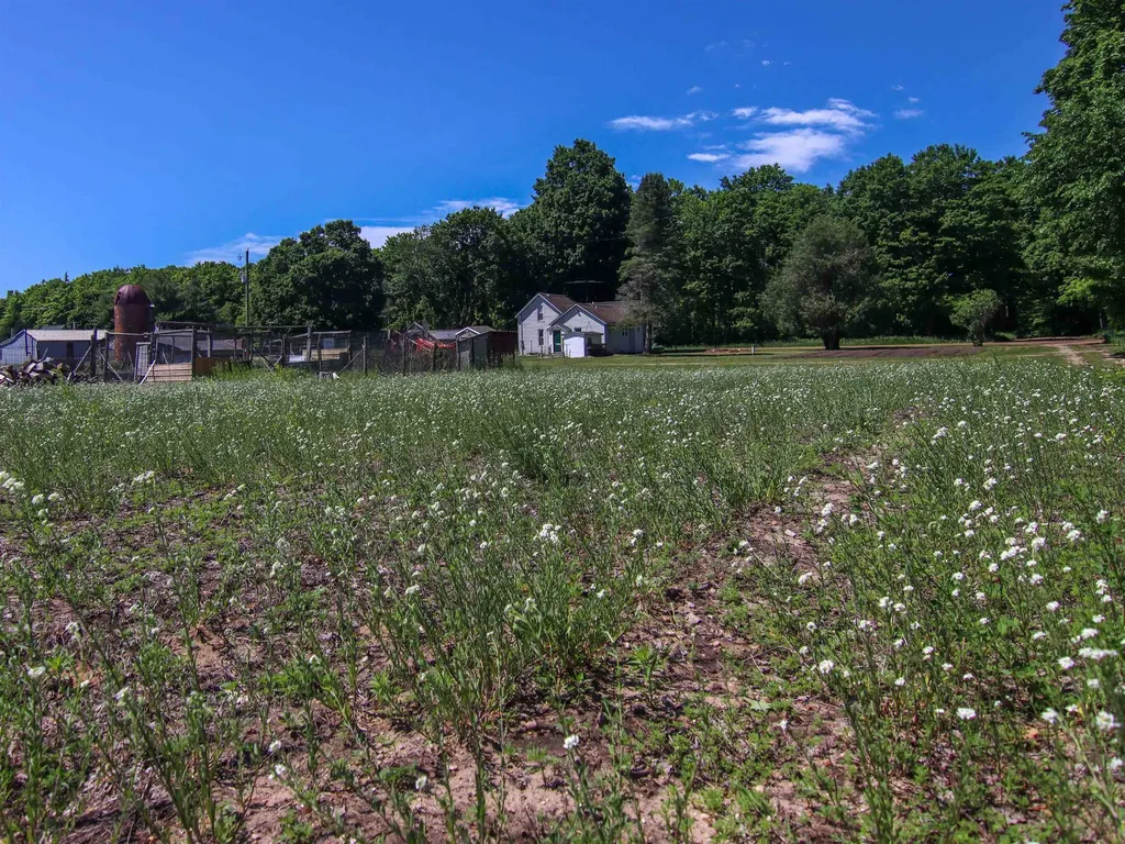 21935 Read Road Cleon Township MI 49625