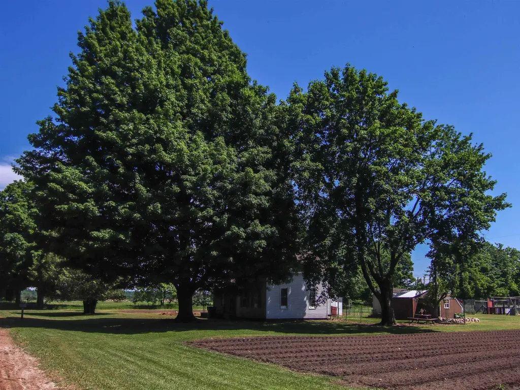 21935 Read Road Cleon Township MI 49625