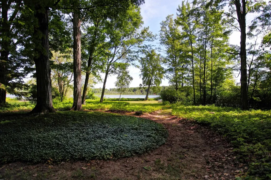 2685 Tonawanda Road Green Lake Township MI 49637