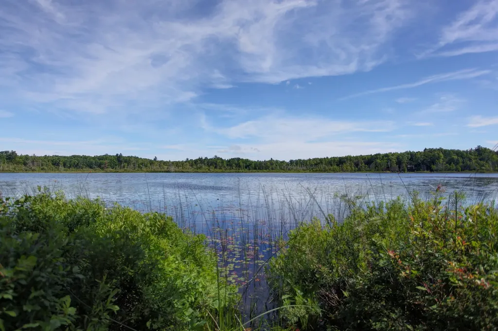 2685 Tonawanda Road Green Lake Township MI 49637
