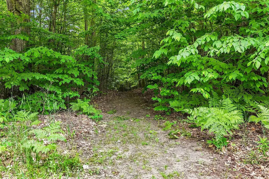 7346 Traverse Road Colfax Township MI 49683
