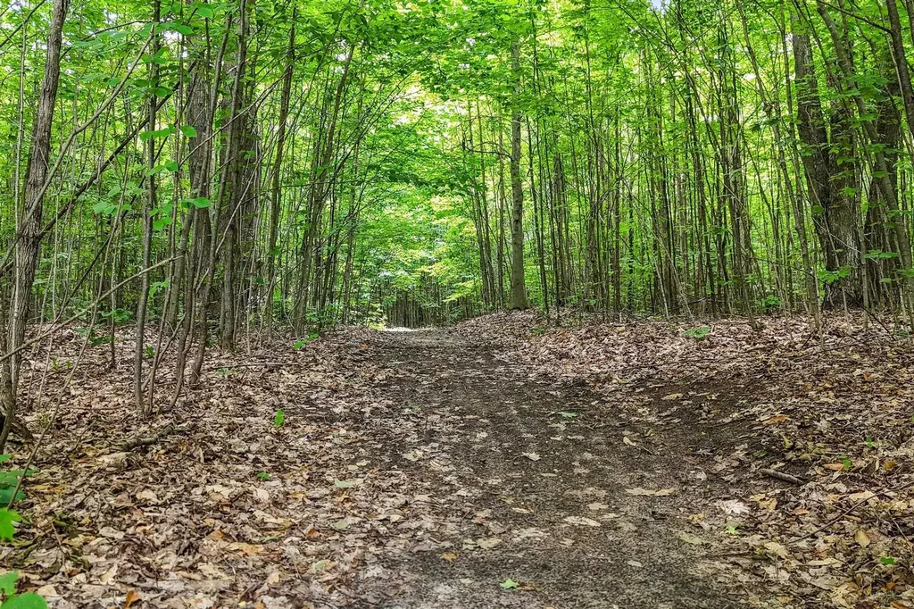 7346 Traverse Road Colfax Township MI 49683