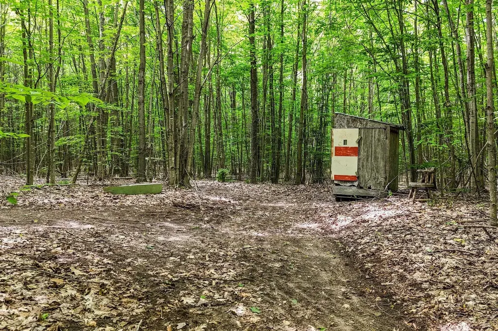 7346 Traverse Road Colfax Township MI 49683