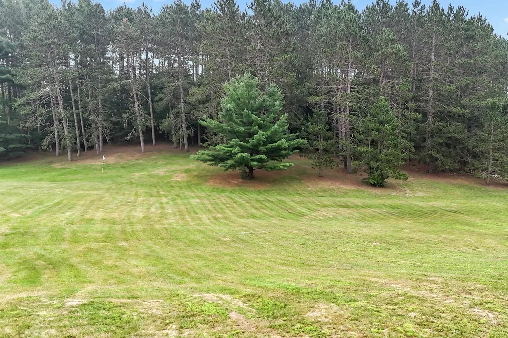 16186 N 200th Avenue Le Roy Township MI 49655