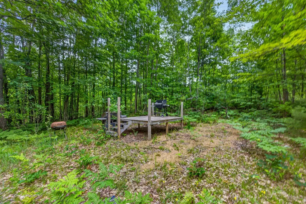S 47 3/4 Road Haring Charter Township MI 49601