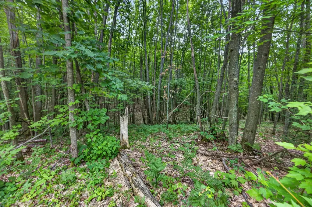 S 47 3/4 Road Haring Charter Township MI 49601
