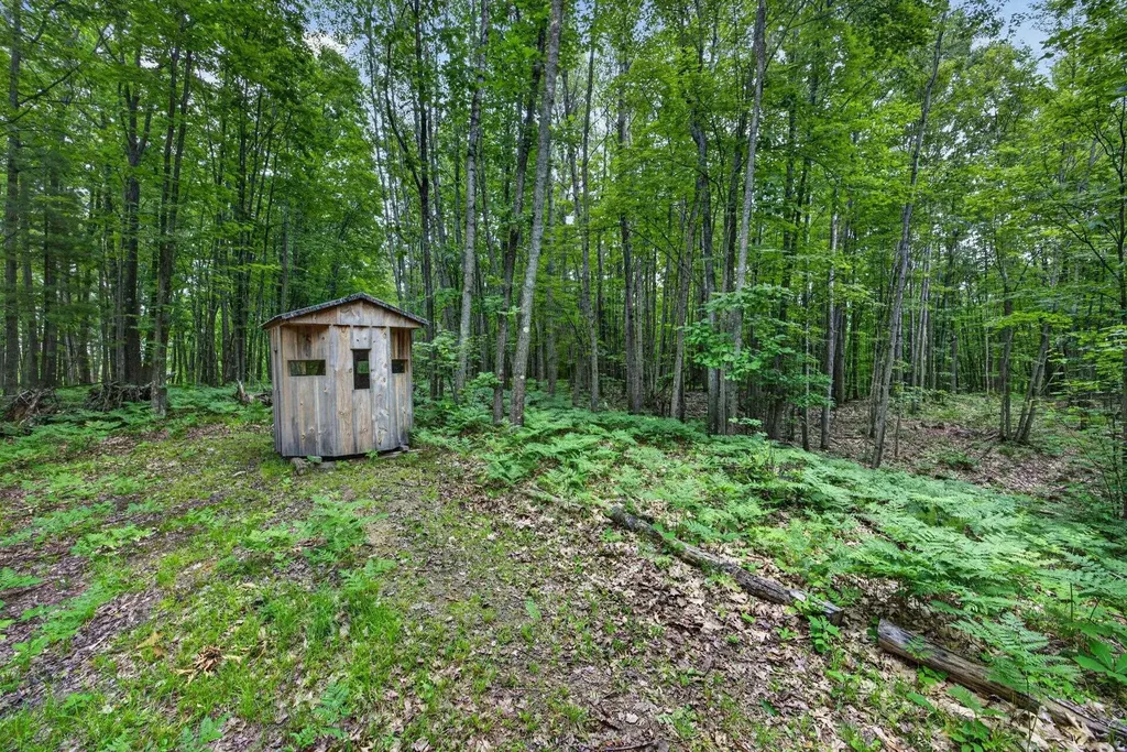 S 47 3/4 Road Haring Charter Township MI 49601