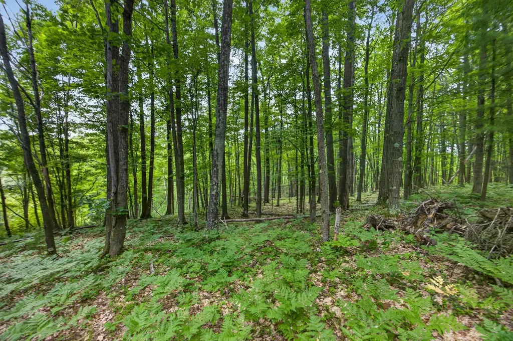 S 47 3/4 Road Haring Charter Township MI 49601
