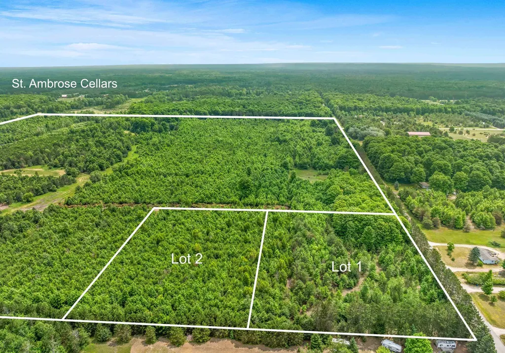 Parcels 1 & 2 Maple Homestead Township MI 49616
