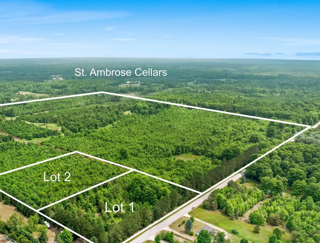 Parcels 1 & 2 Maple Homestead Township MI 49616