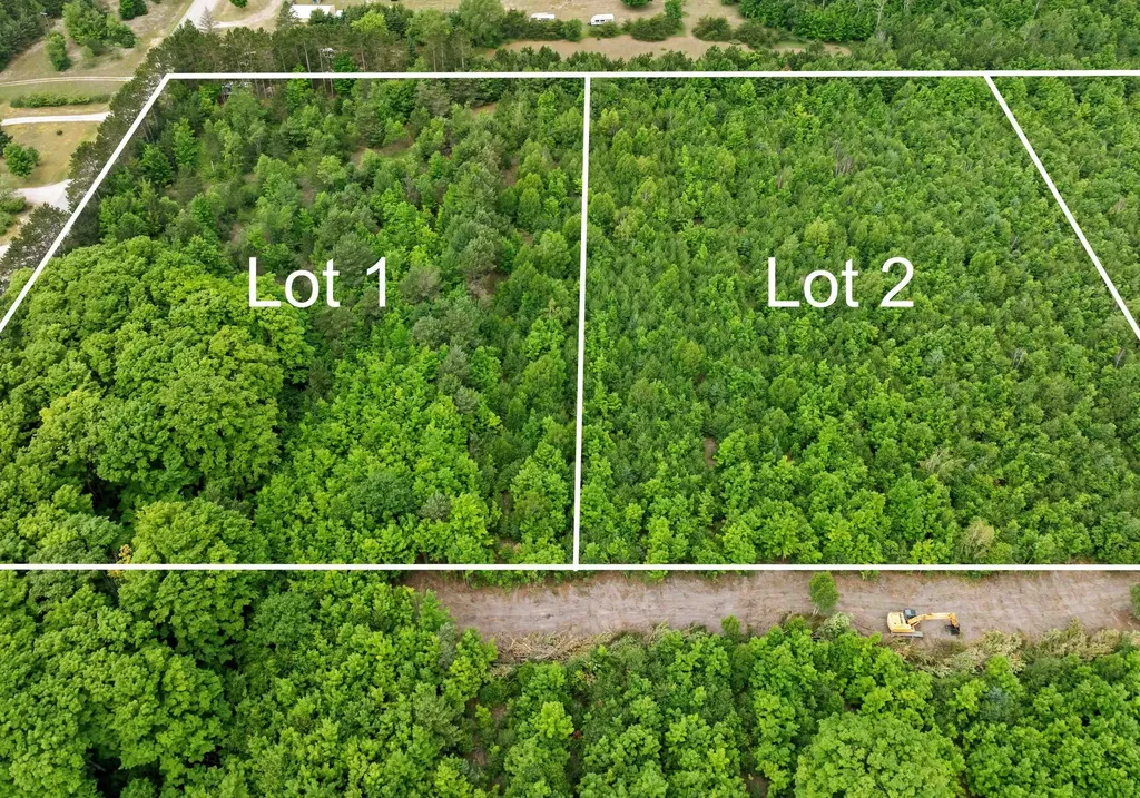 Parcels 1 & 2 Maple Homestead Township MI 49616