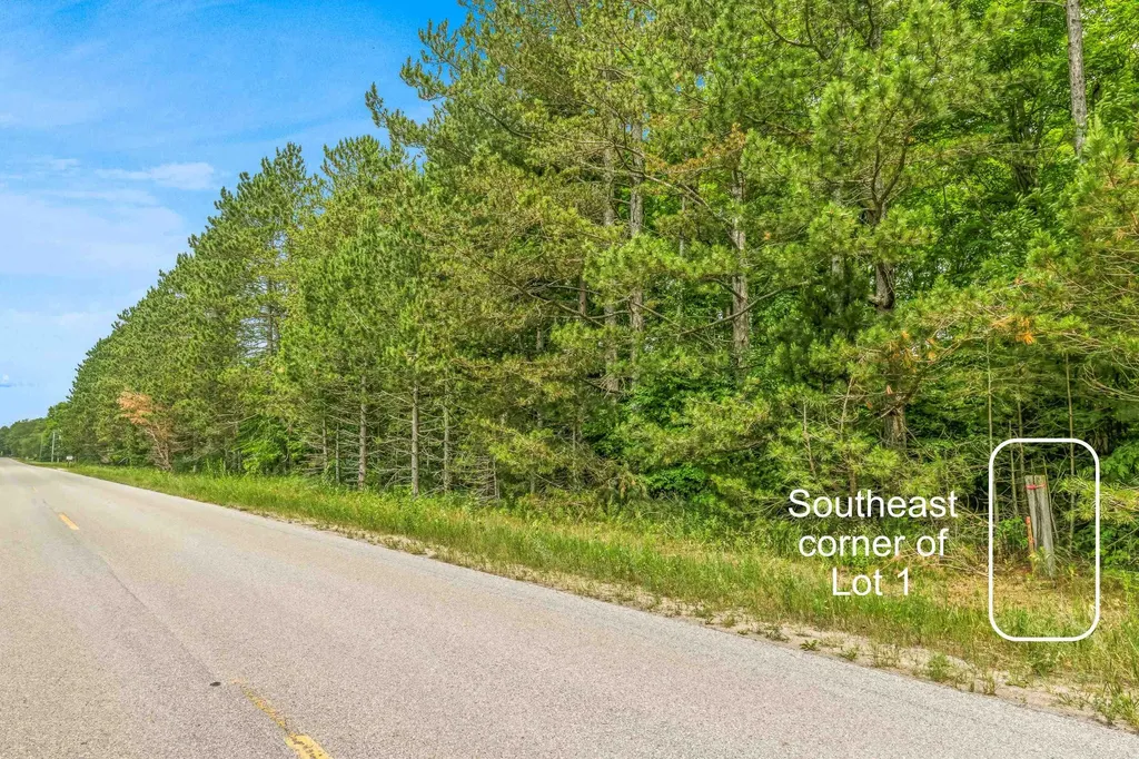 Parcels 1 & 2 Maple Homestead Township MI 49616