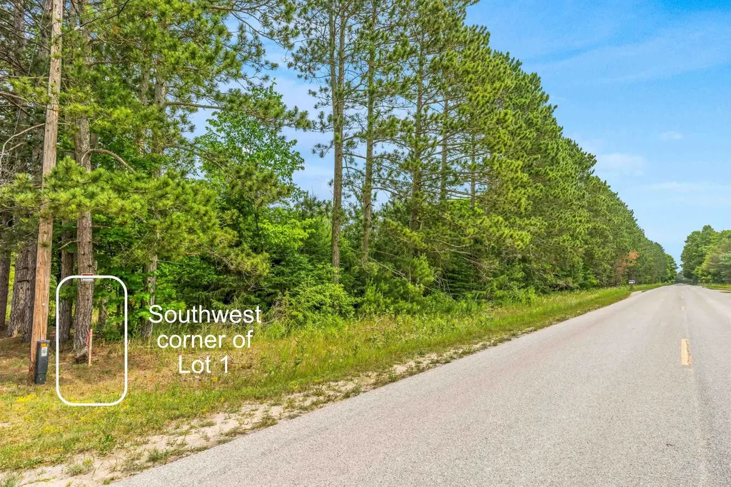 Parcels 1 & 2 Maple Homestead Township MI 49616