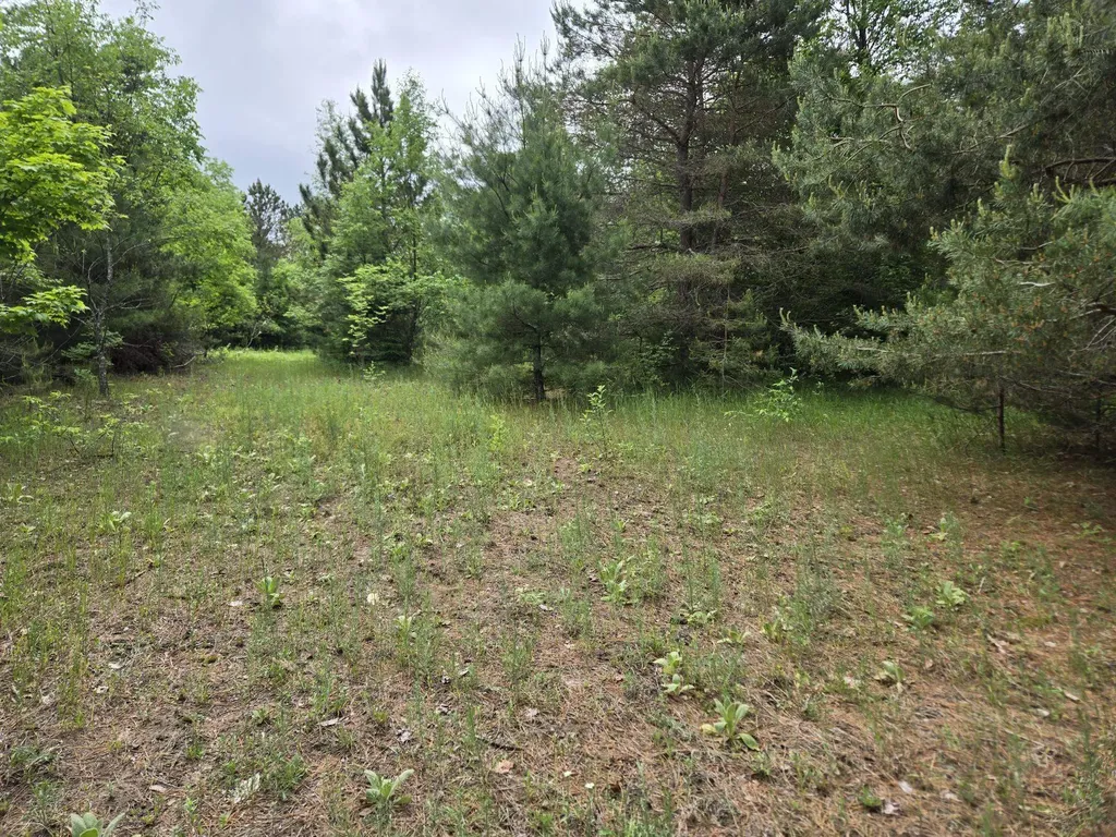 Parcels 1 & 2 Maple Homestead Township MI 49616