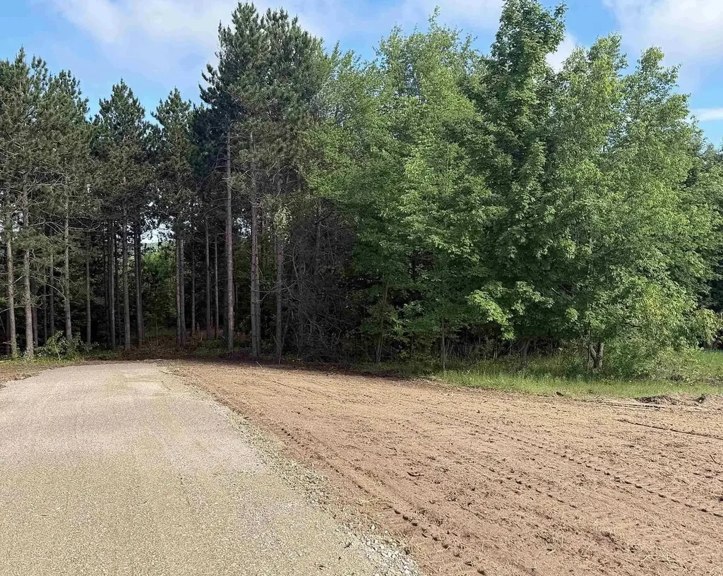 V/l Karnes Road Empire Township MI 49636