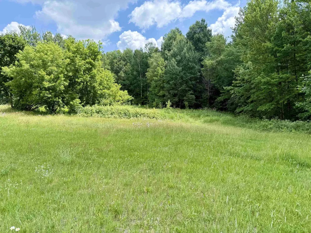 19190 130th Avenue Sherman Township MI 49688