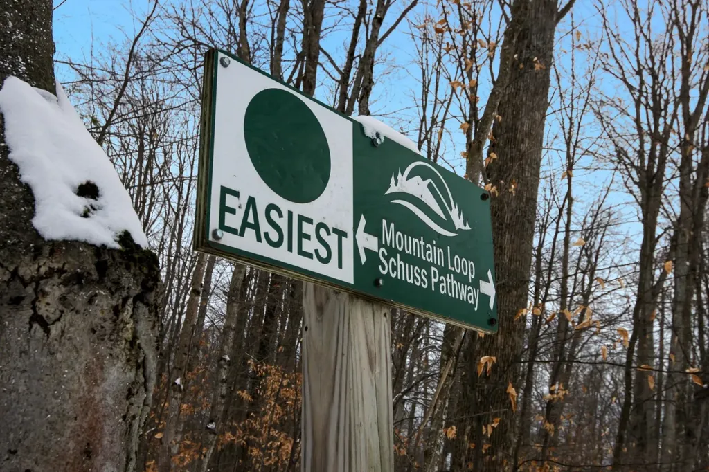 2574 Bahnhof Lane Custer Township MI 49615