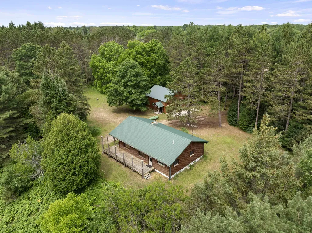 19603 Cinder Road Inland Township MI 49643