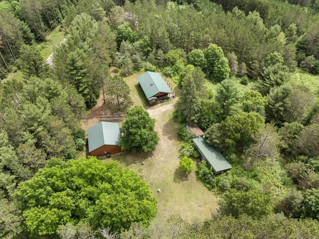 19603 Cinder Road Inland Township MI 49643