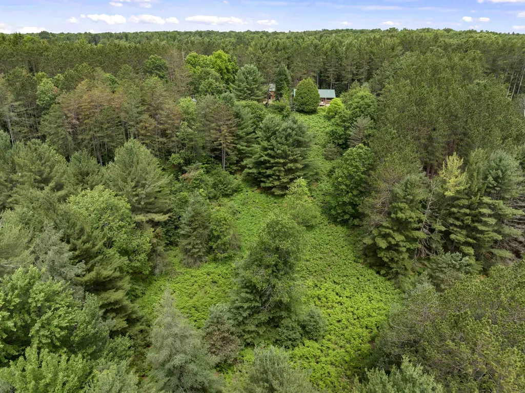 19603 Cinder Road Inland Township MI 49643
