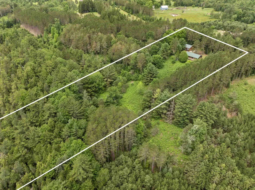 19603 Cinder Road Inland Township MI 49643