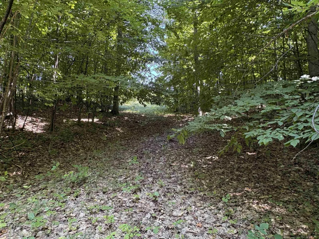 1927 N Blue Water Court Suttons Bay Township MI 49682