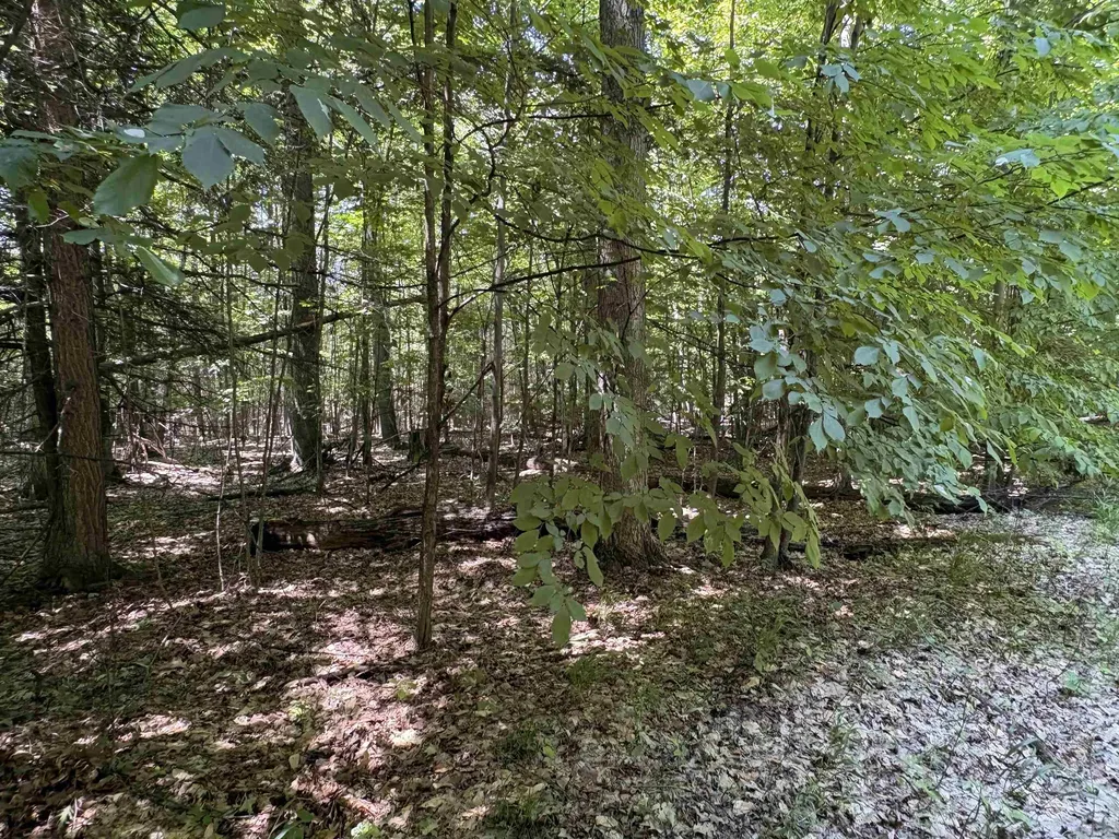 1927 N Blue Water Court Suttons Bay Township MI 49682