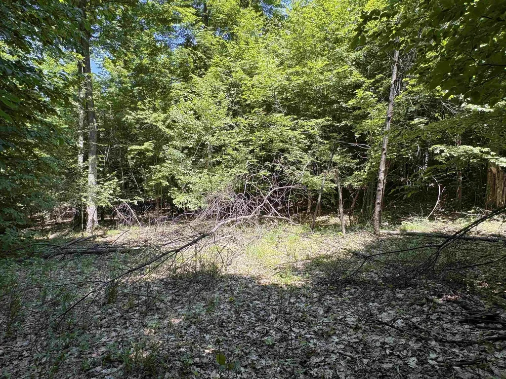 1927 N Blue Water Court Suttons Bay Township MI 49682
