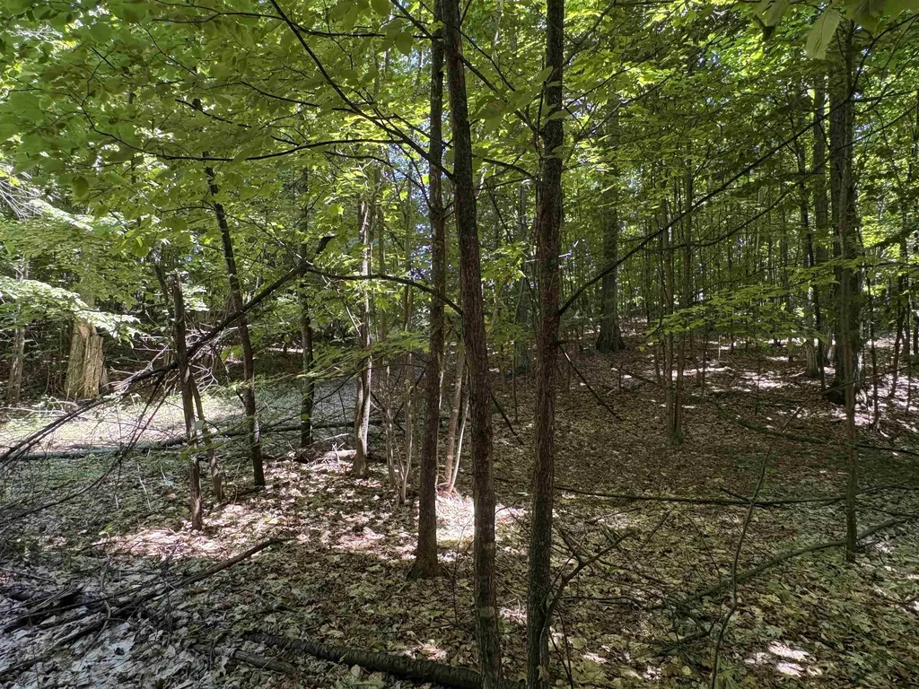 1927 N Blue Water Court Suttons Bay Township MI 49682