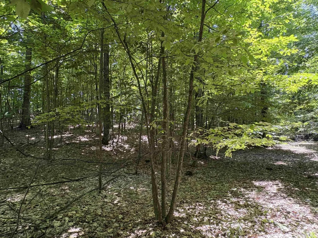1927 N Blue Water Court Suttons Bay Township MI 49682