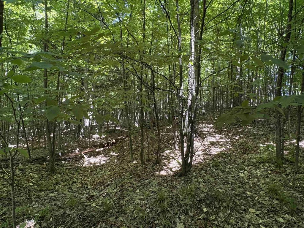 1927 N Blue Water Court Suttons Bay Township MI 49682