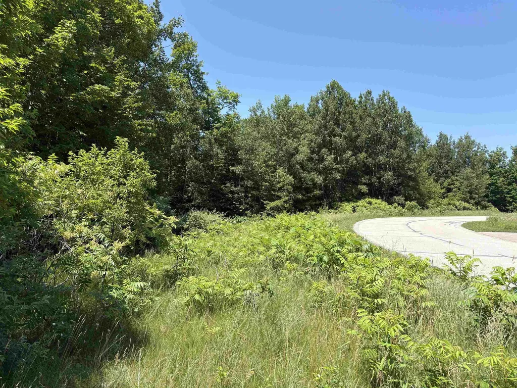 1927 N Blue Water Court Suttons Bay Township MI 49682