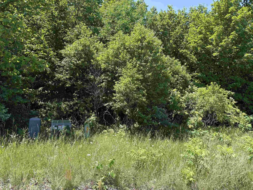 1927 N Blue Water Court Suttons Bay Township MI 49682