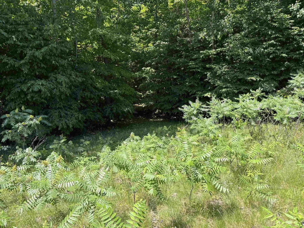 1927 N Blue Water Court Suttons Bay Township MI 49682