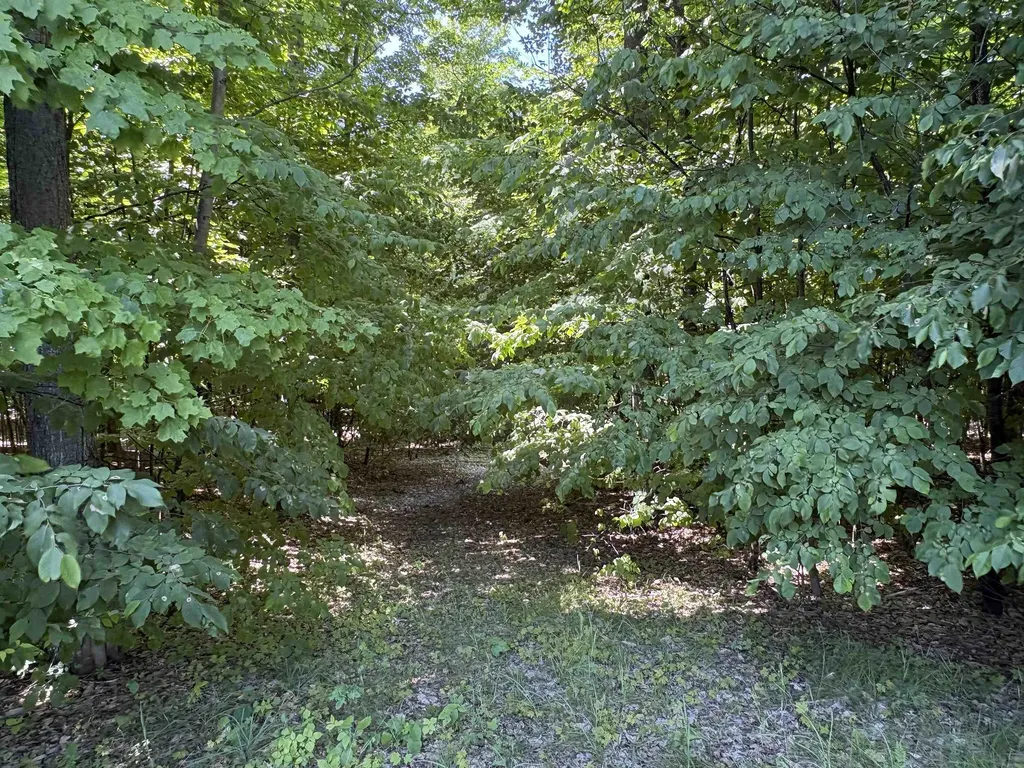 1927 N Blue Water Court Suttons Bay Township MI 49682