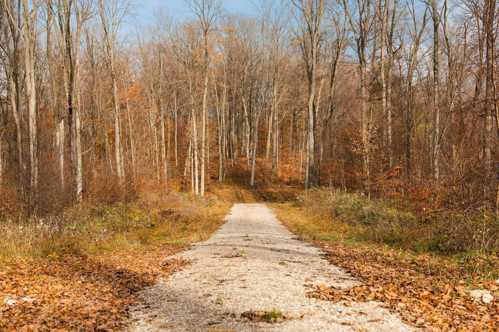 10550 S Cedar Road Solon Township MI 49621