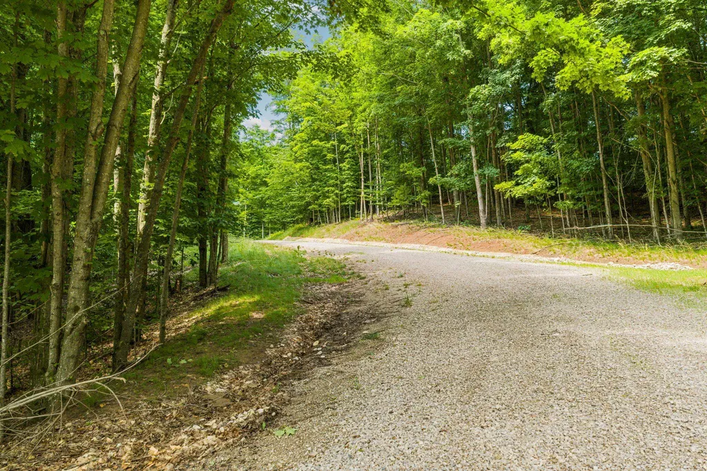 10550 S Cedar Road Solon Township MI 49621