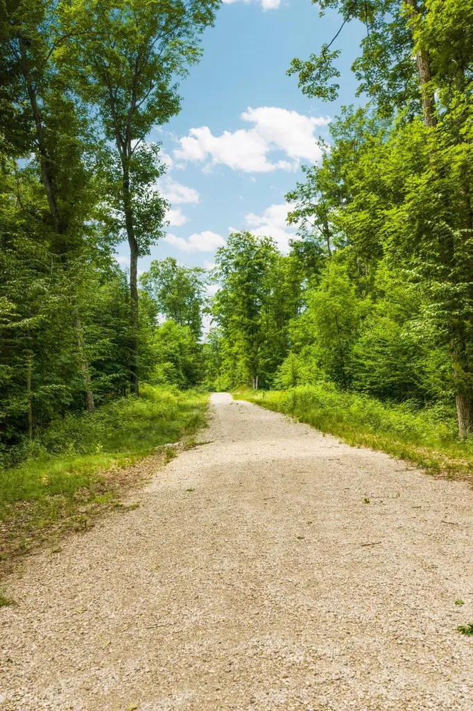 10550 S Cedar Road Solon Township MI 49621