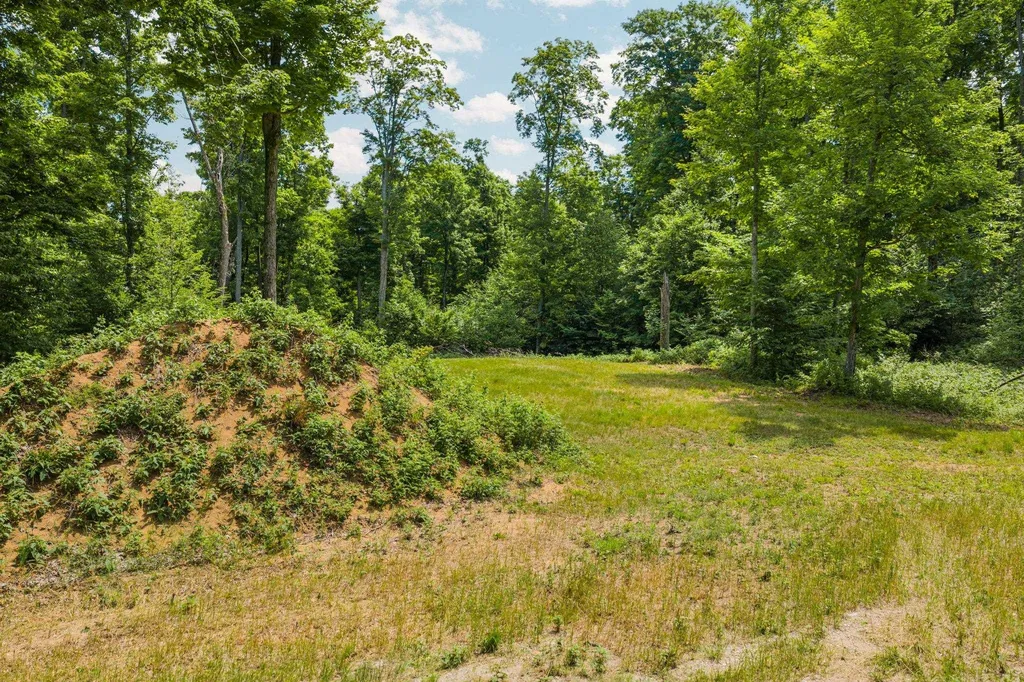 10550 S Cedar Road Solon Township MI 49621