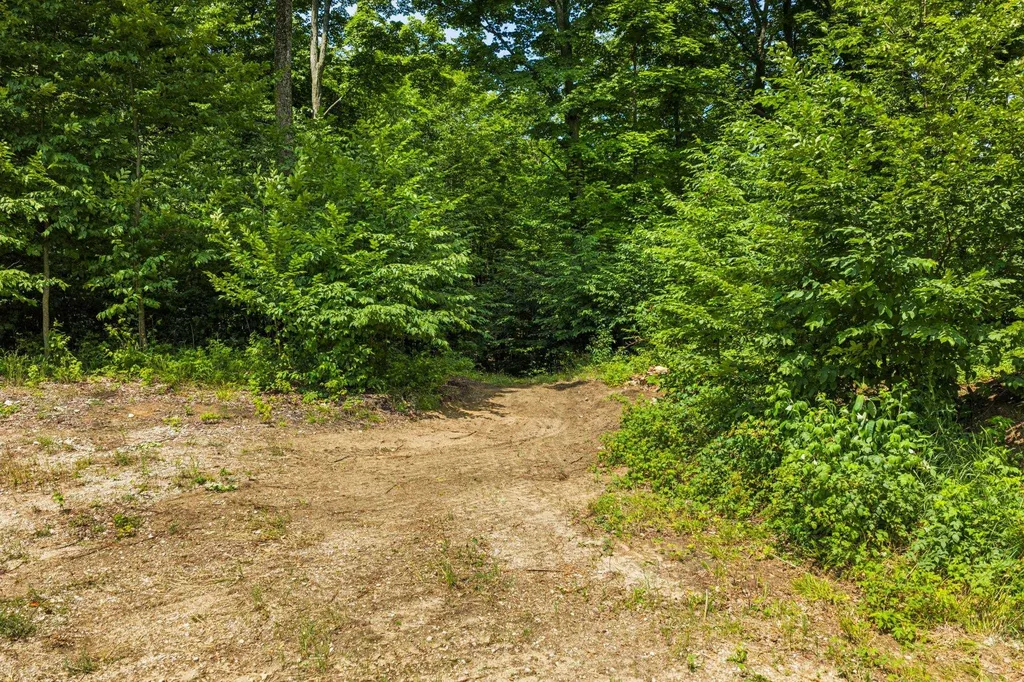 10550 S Cedar Road Solon Township MI 49621
