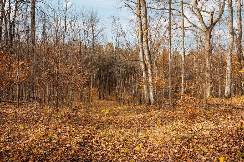 10550 S Cedar Road Solon Township MI 49621